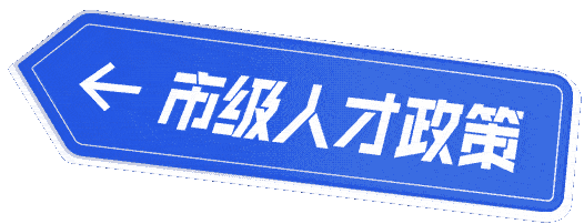市级人才政策