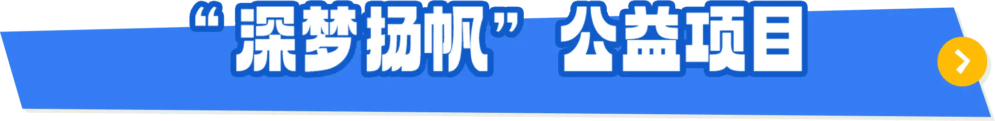 鹏城孔雀计划