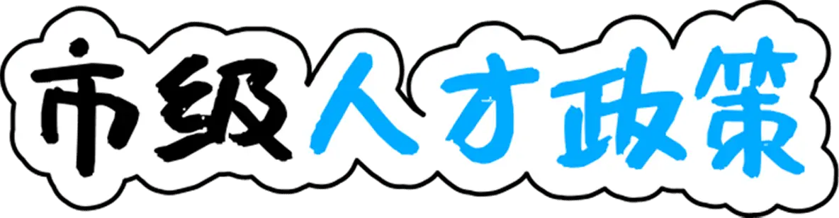 市级人才政策